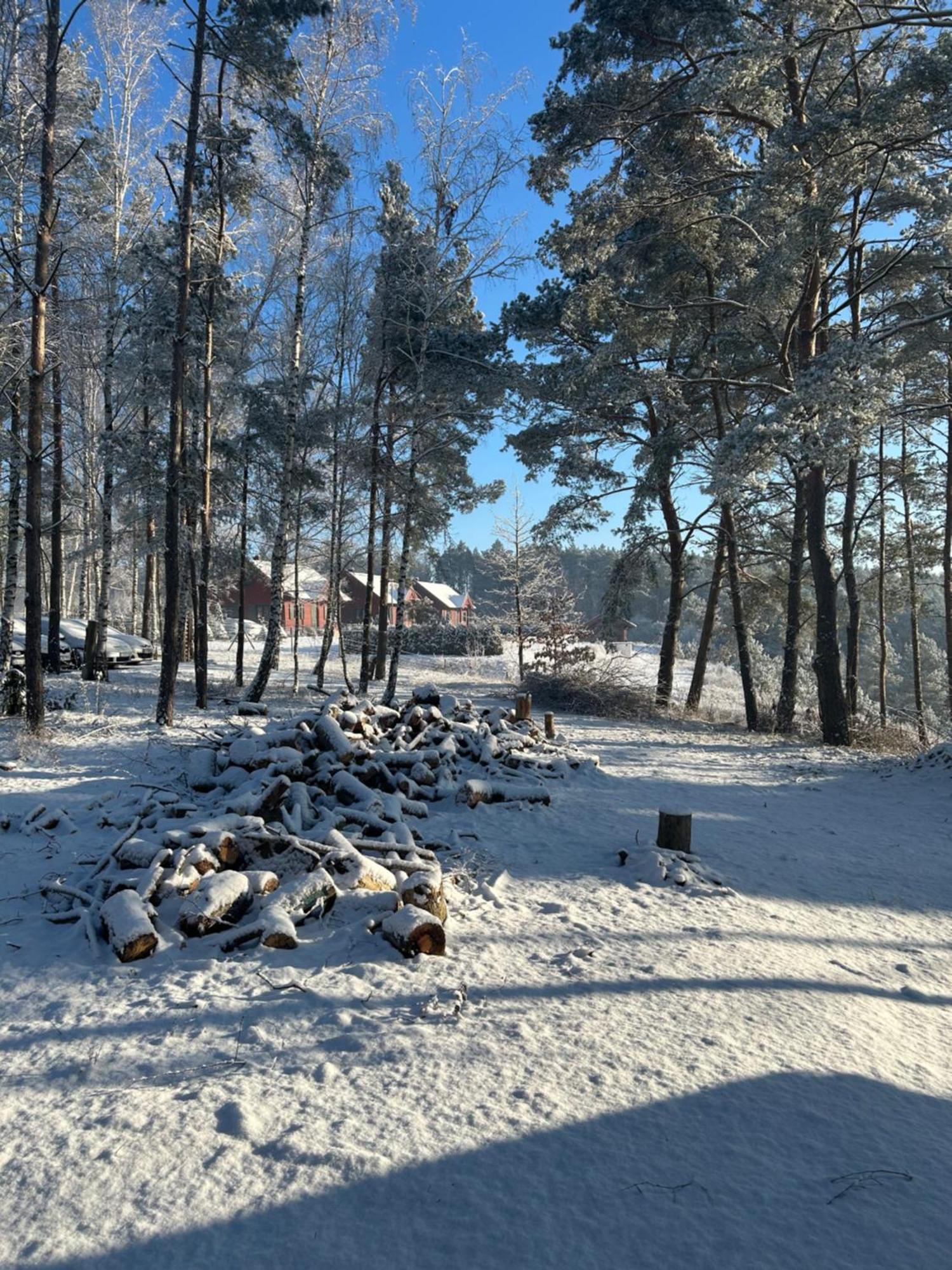 Brzezina Resort - Wille 즈닌 외부 사진
